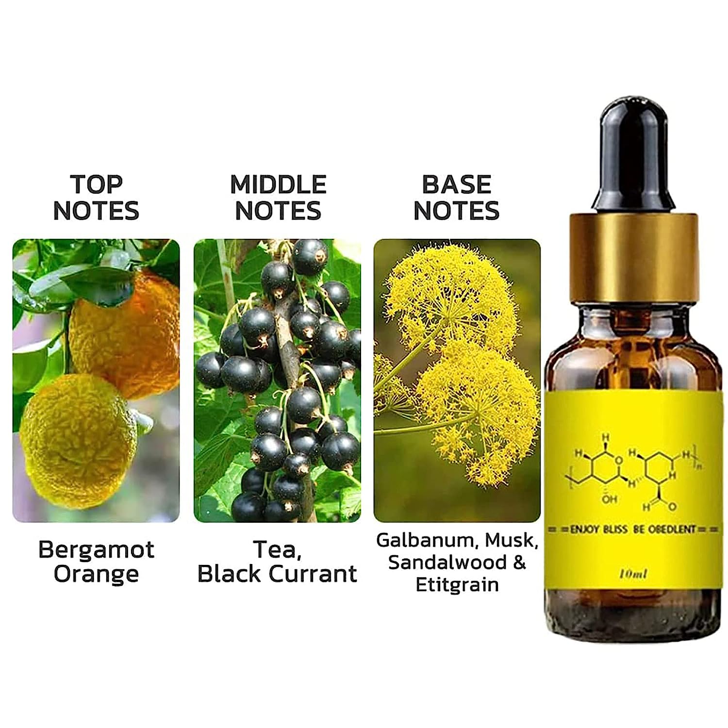 Feromônio para homem atrair mu - Fragrance Oil 10Ml avaliação e preço